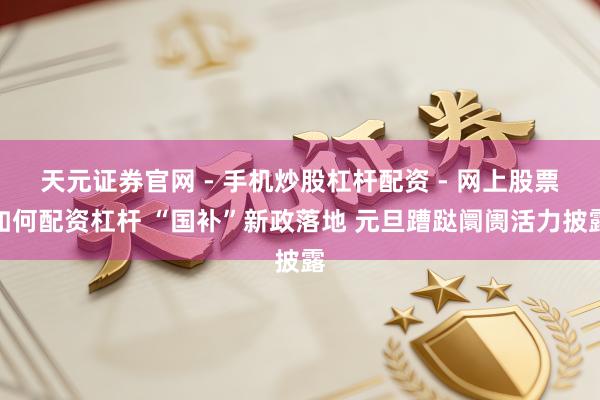 天元证券官网 - 手机炒股杠杆配资 - 网上股票如何配资杠杆 “国补”新政落地 元旦蹧跶阛阓活力披露