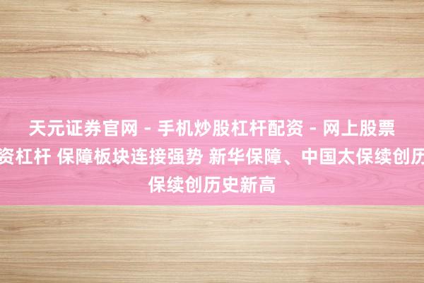 天元证券官网 - 手机炒股杠杆配资 - 网上股票如何配资杠杆 保障板块连接强势 新华保障、中国太保续创历史新高